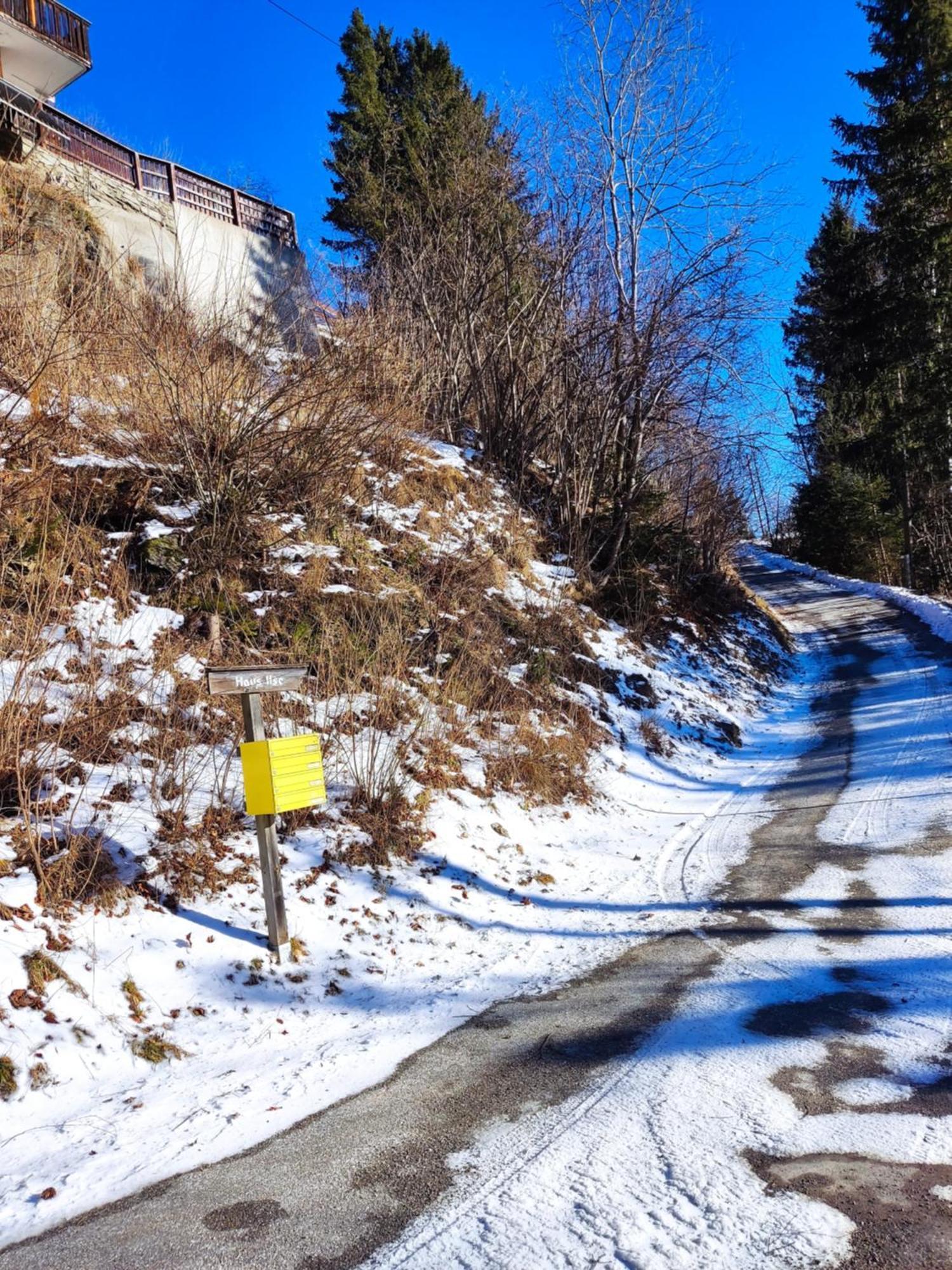Haus Ilse On Bernsteinweg Villa Bad Kleinkirchheim Eksteriør billede